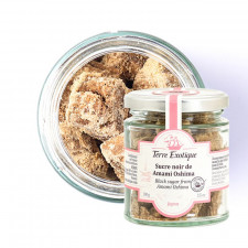 Schwarzer Zucker von Terre Exotique 100g