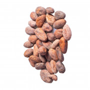 Fèves de cacao du Cameroun
