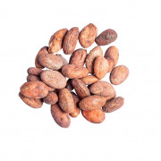 Cocoa beans from Madagascar