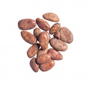 Kakaobohnen aus Jamaica