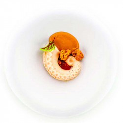 Moule en silicone Tentacules
