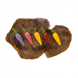 Moule en silicone Carotte