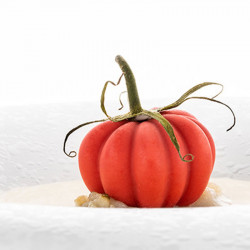 Silikonform Tomate 12 Stück
