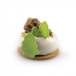 Moule en silicone Stone