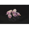 Set di stampi per cuori glacé, 24 stampi