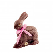 Chocolate mold nostalgia bunny