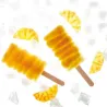 Moule à glace Maracaibo pour des esquimaux parfaits