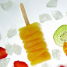 Glaceform Maracaibo für perfektes Eis am Stiel