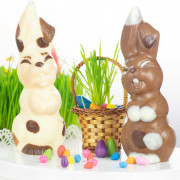 Chocolate mold laughing bunny