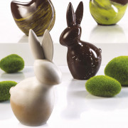 Chocolate mold bunny maxi