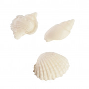 Silicone embosser shells