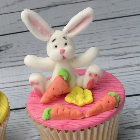 Gaufrage silicone Lapin