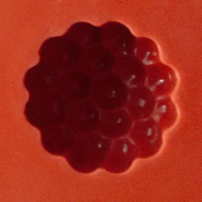 Giessform für Gelee Brombeeren, 24 Stück aus Silikon und Kunststoff