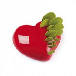 Stampo in silicone cuore grande