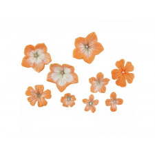 Petunienblüten Multi-Präge-Set