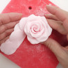 Easiest Rose Ausstecher Klein