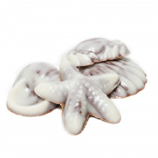 Edle Muscheln und Meerestiere Schokoladenform