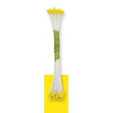 Blütenpollen klein Gelb, 50 Stücke
