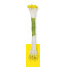 Blütenpollen klein Gelb, 50 Stücke