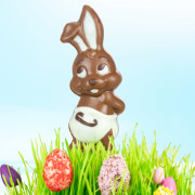 Chocolate mold baby bunny