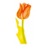 Pochoir Airbrush Tulipe