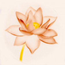 Airbrush Schablone Lotus Blüte