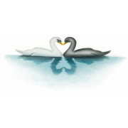 Airbrush stencil swans