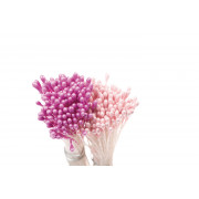 Pollen de fleurs petit (rose, pink), 288 pièces