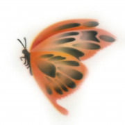Airbrush stencil butterfly