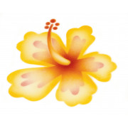 Airbrush stencil hibiscus flower