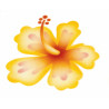 Pochoir Airbrush Fleur d'hibiscus