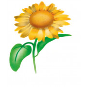 Airbrush Schablone Sonnenblume
