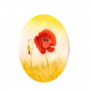 Airbrush Schablone Mohn Blüten (2 Motive)