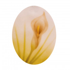 Airbrush stencil 2 callas lilies