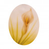 Airbrush stencil 2 callas lilies