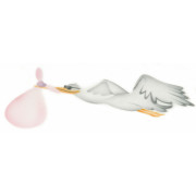 Airbrush stencil stork