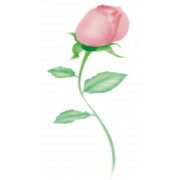 Airbrush stencil rose bud