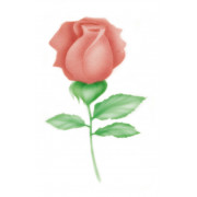 Airbrush stencil rose half open