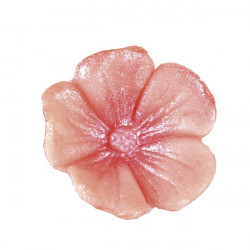 Flowers embossing set