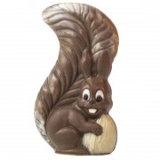Chocolate mold squirrel