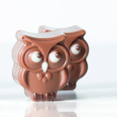 Praline mold owl 21 chocolates