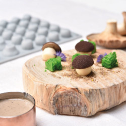 Stampo in silicone per funghi