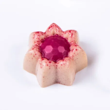Stampo per cioccolato Piccoli fiori 24 cioccolatini