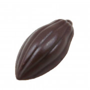 Frutti di cacao in stampo di cioccolato