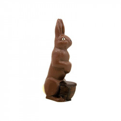 Stampo per cioccolato Coniglietto di Pasqua con cestino, piccolo