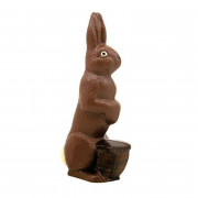 Stampo per cioccolato Coniglietto di Pasqua con cestino, medio