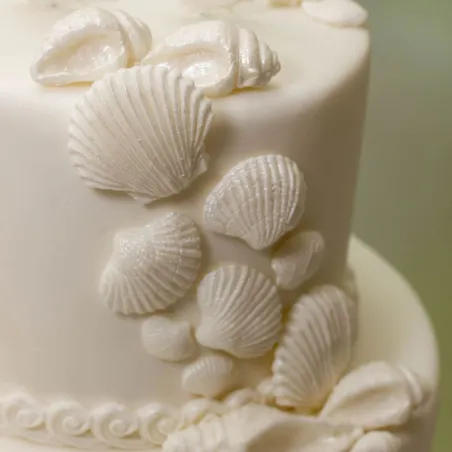 Silicone embosser sea shells