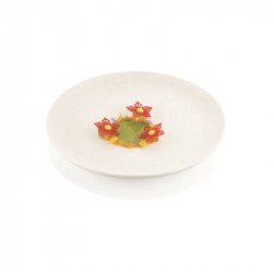 Moule en silicone pour bols de fleurs