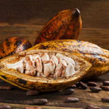 Bean to Bar Kurs - Selbst Schokolade herstellen