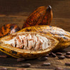 Bean to Bar Kurs - Selbst Schokolade herstellen